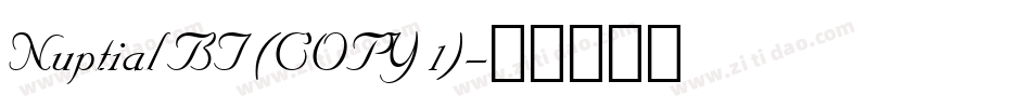 Nuptial BT (COPY 1)字体转换